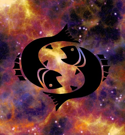 Én csak követtem a fehér nyulat a lyukba - Mindent a Halakról