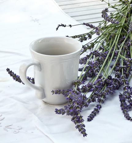 A természet kincsestára: növények, melyektől azonnal jobb kedved lesz