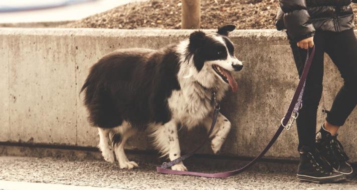 Hétvégi programajánló: március 24-26.