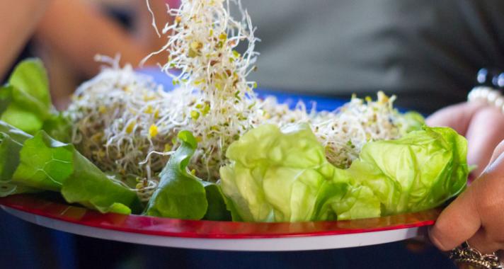 Egy hónap múlva kezdődik a 21. Vegetáriánus Fesztivál