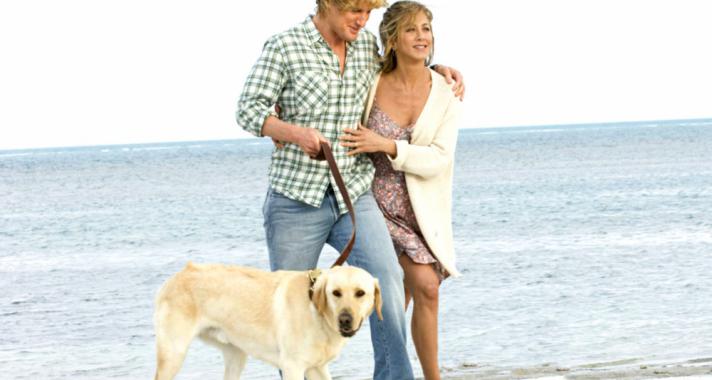 A 8 legjobb állatos film az Állatok Világnapja alkalmából