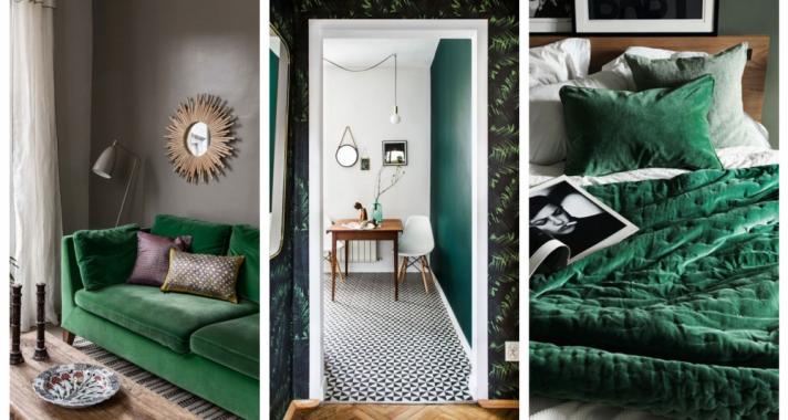 Home decor tipp: több zöldet az otthonodba