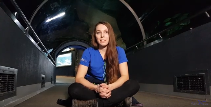 Kulisszatitkok: a Tropicarium nyitás előtt