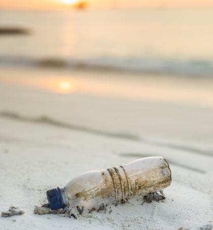 Szabaduljunk meg a műanyagoktól legalább 31 napra!