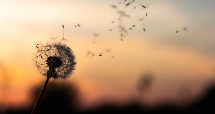 Férfiszempont: Az egó egy csaló