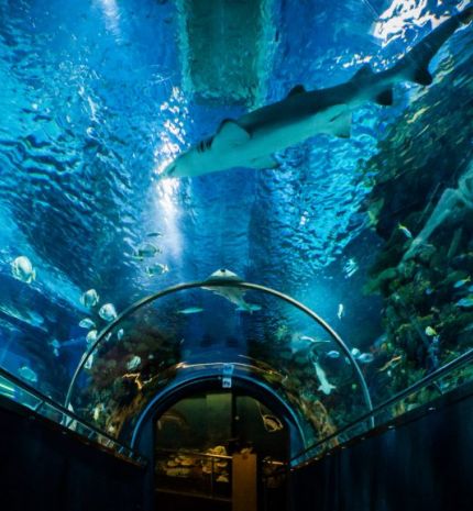 4 családi program ötlet őszre