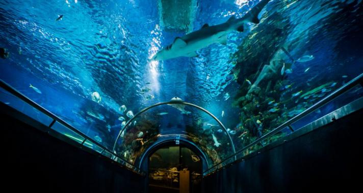 4 családi program ötlet őszre