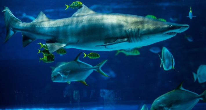 Így teheted igazán emlékezetessé a gyermeked születésnapját