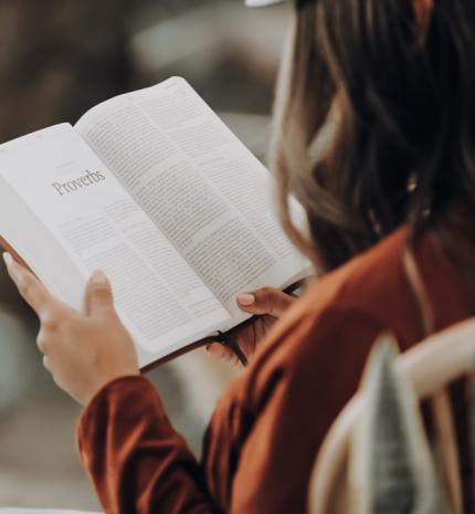4 könyv, ami tökéletes lehet őszi bekuckózáshoz