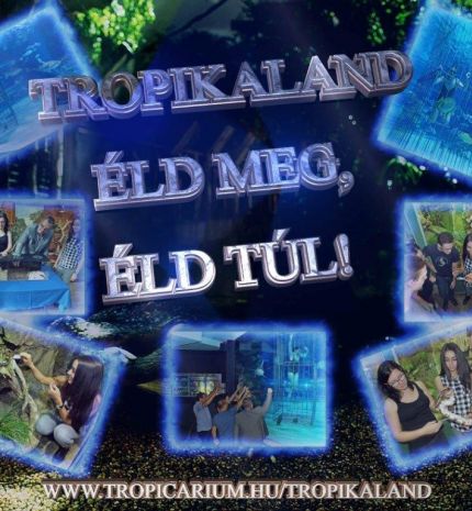 TropiKaland - Éld meg, éld túl!