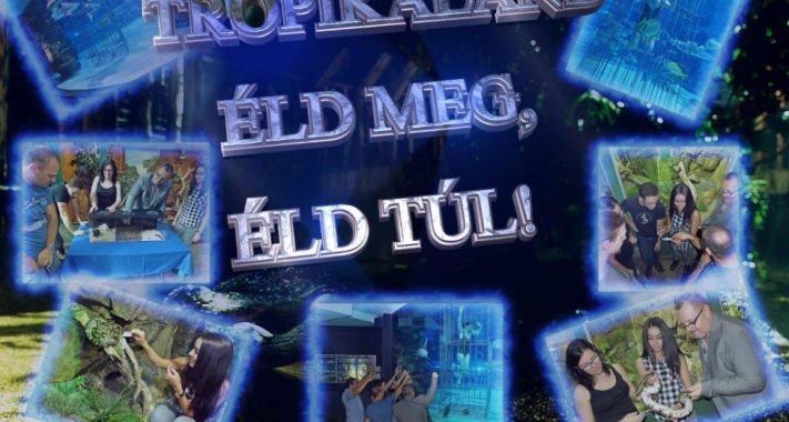 TropiKaland - Éld meg, éld túl!