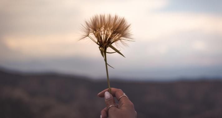 Lélekmentő gondolatok, melyek segítenek átvészelni a nehéz napokat