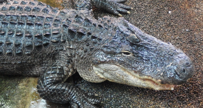 Játszva tanulás - Mit csináljunk a gyerekekkel, ha rossz az idő?