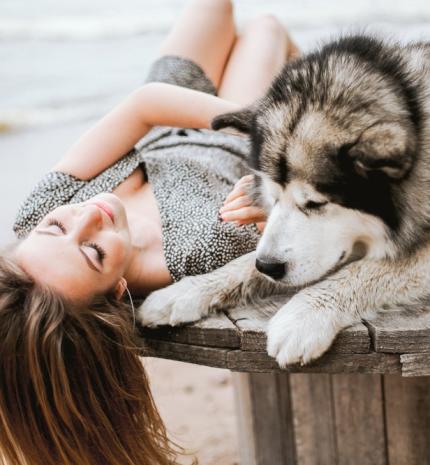 Mi teszi olyan különlegessé az emberek és kutyák kapcsolatát?