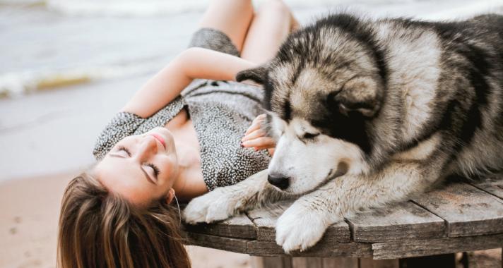 Mi teszi olyan különlegessé az emberek és kutyák kapcsolatát?