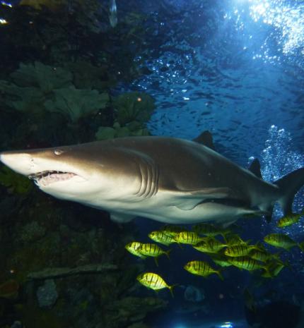 Mit csináljunk strandolás helyett? - Programötlet gyerekekkel kevésbé nyárias napokra