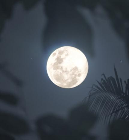 Lelked dalának Teliholdja