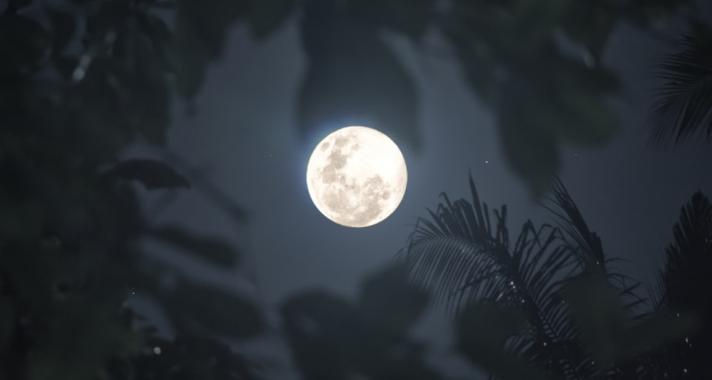 Lelked dalának Teliholdja