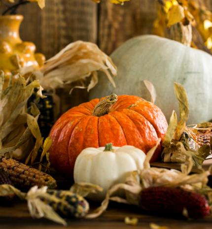 Méregteleníti, feszesíti a bőrt: a sütőtök