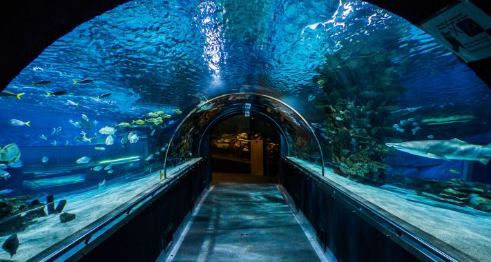 Kulisszatitkok: így néz ki a Tropicarium nyitás előtt