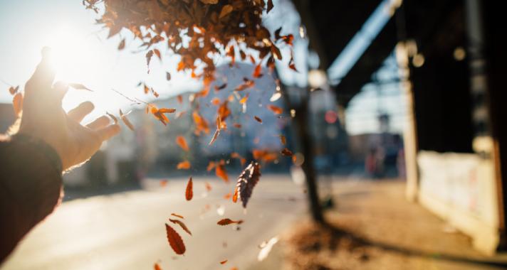 8 dolog, amit életed végére meg fogsz bánni