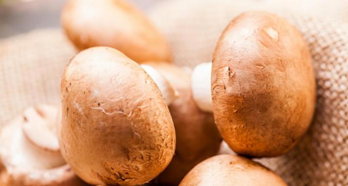 Mandulagomba: a csodálatos életelixír