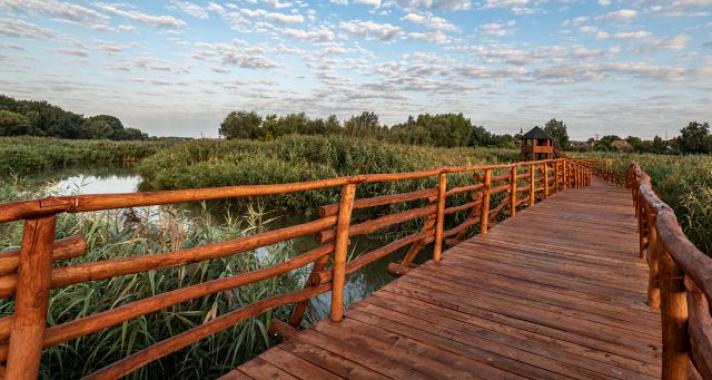 A hely, aminek lelke van: Tiszakécske