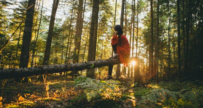 Mi mindannyian traumatizált ősök leszármazottai vagyunk