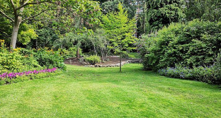 3+1 dolog, ami nem hiányozhat egy szép kertből