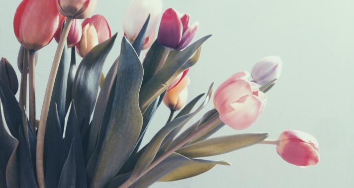 Virágok Pszichológiája | Így jellemez a kedvenc virágod!