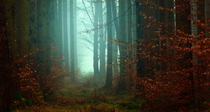 Mit jelenthetnek a rémálmaink?