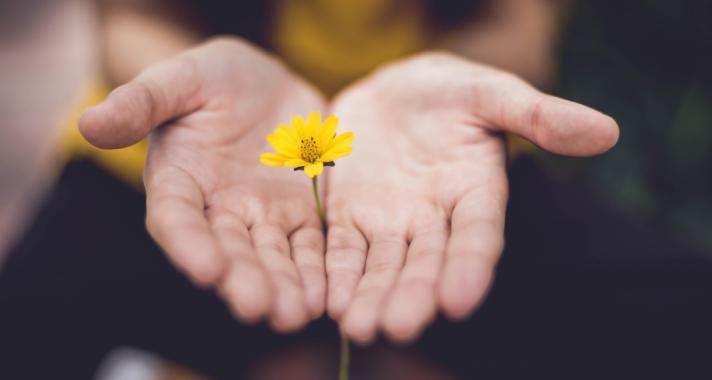 'A pszichés trauma nem elfelejthető, nem kitörölhető és nem tehető semmissé.' - Mit jelent az örökölt sors?