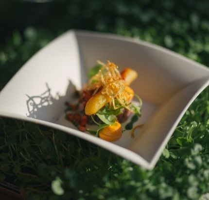 Hamarosan nyit a Gourmet Fesztivál