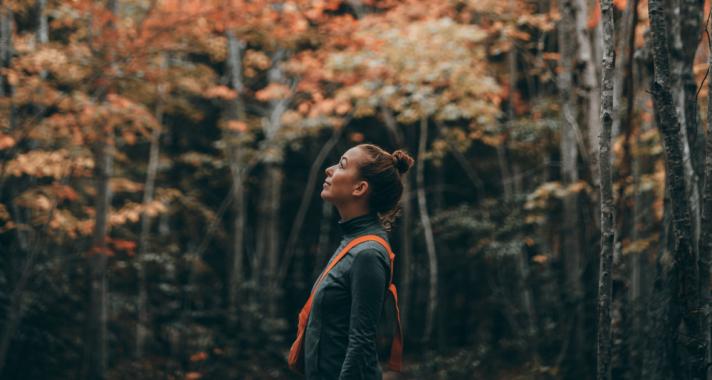 A kalitkában született madarak azt hiszik, hogy a repülés betegség