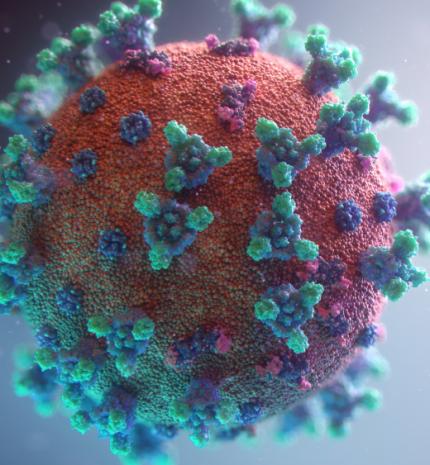 Honnan tudhatjuk, hogy védettek vagyunk-e koronavírussal szemben?