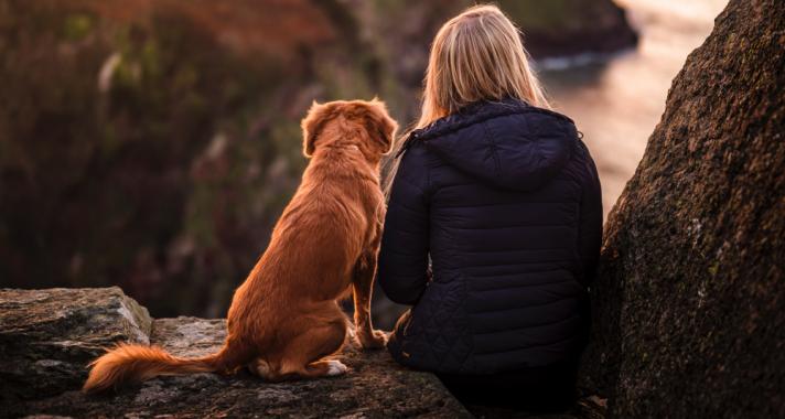 Amire a kiskutyám megtanított