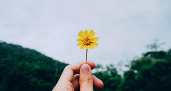 Az igazán boldog élet a privát élet