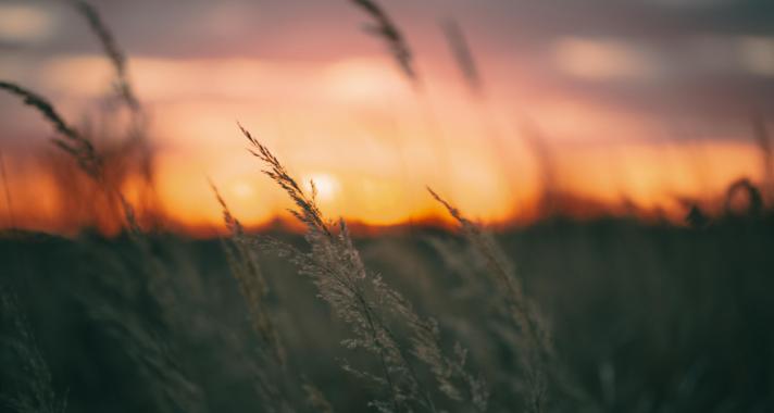 'Az embernek szüksége van arra, hogy fontos legyen.' - Tanító idézetek a legnagyobbaktól