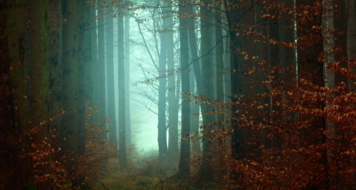 Nyomasztó, de tudni akarjuk - mit jelentenek rémálmaink?