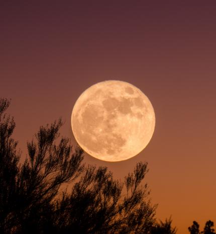 Van egy Teliholdunk a Bak jegyében