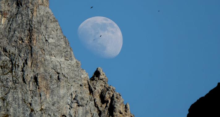 Egy újabb is-is nap áll előttünk, ahol két rövid, cserébe simogató hatás adja majd a lelkünknek a cukorkákat