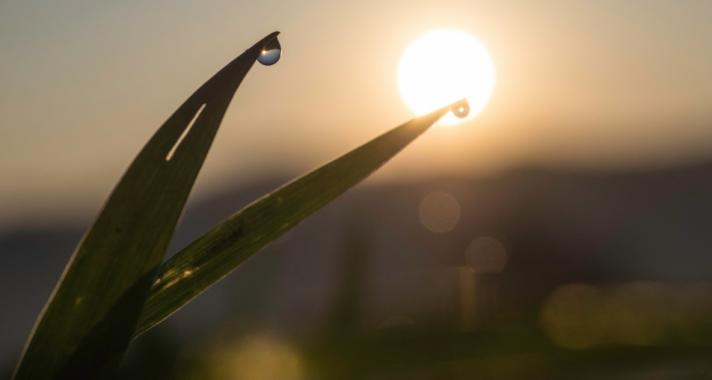 Ma kora reggel volt fokra pontos a Nap és a Pluto szembenállása