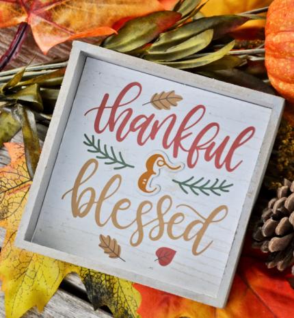 'A hála lehetetlenné teszi a boldogtalanságot.' Avagy, a hála tényleg mindig segít?