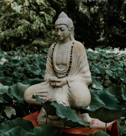 'Amit gondolsz, azzá válsz. Amit érzel, azt vonzod.' - Buddhista idézetek az életről