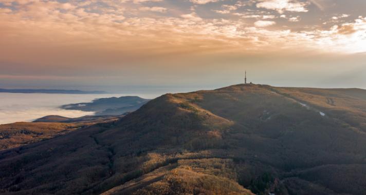 Anti-Black Friday:Szabó Győző és Döbrösi Laura is beszállt a túlfogyasztás elleni mozgalomba