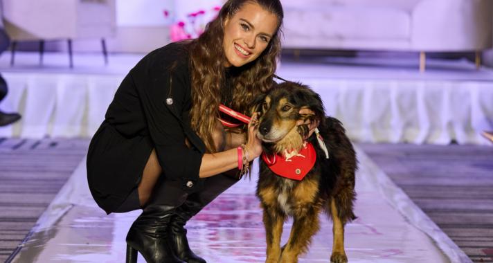 Menhelyi kutyák reflektorfényben – árva kutyákkal mutatták be a hazai divattervezők kollekcióikat sztárnagykövetek kíséretében