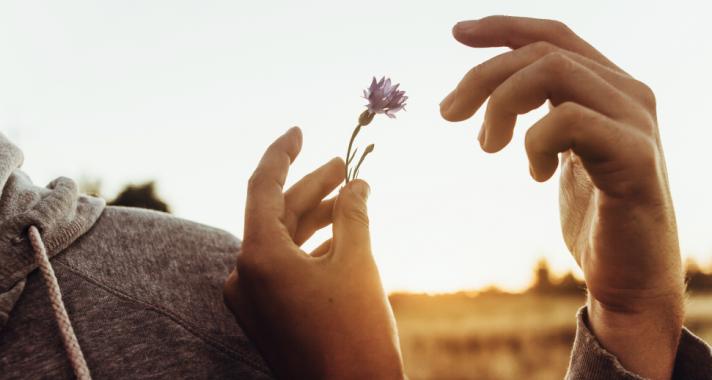 Az élvezet iránti vágy, és a fájdalomtól való félelem egyaránt nyomorúságos állapot