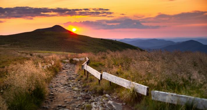 Mi történik a héten? 2024.11.11-17.