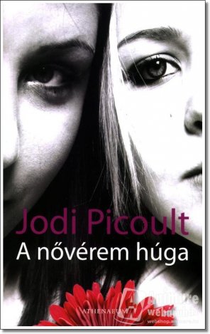 Jó téma, érdekes olvasmány: A nővérem húga