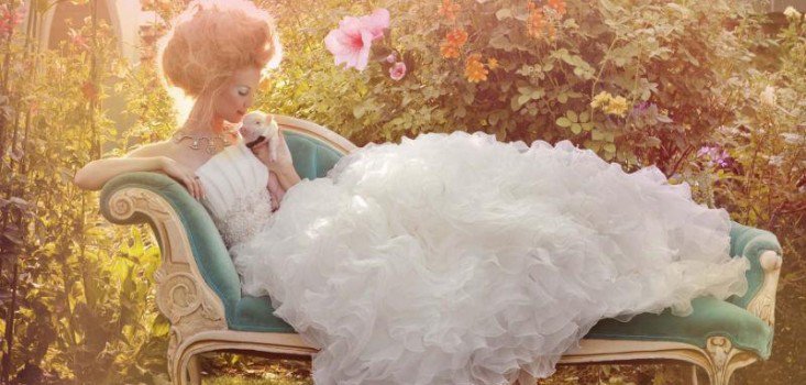 Menyasszonyi álom, álom menyasszony